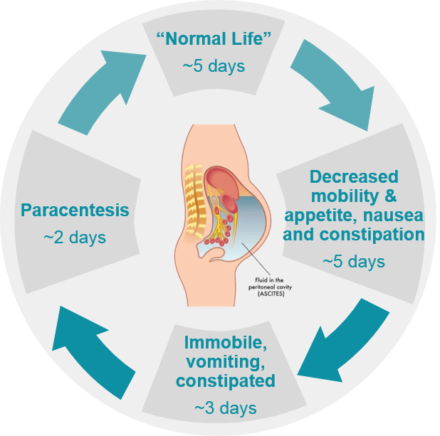 can colon cancer show up on xray